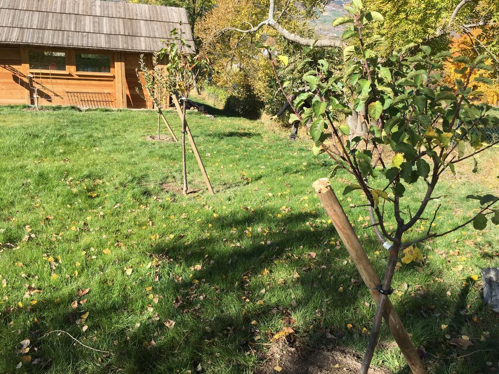 Saint-André-dʼEmbrun 레 샴브레 도렐 B&B 외부 사진